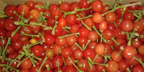 北宅农业生态旅游区