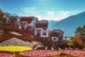 黄山、宏村西递、歙县古城、篁岭纯玩五日游价格/旅游团/团购